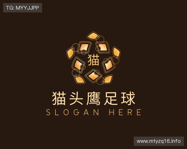 介绍猫头鹰足球